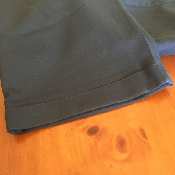 Lane Bryant Ankle Pants, size 26 - Picture 5 of 5